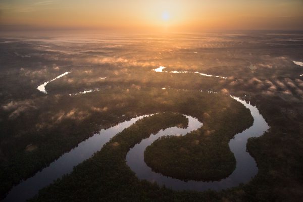 Overhead view of national forest and winding river